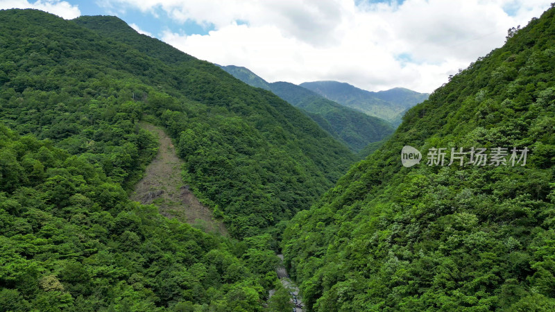 航拍湖北神农架官门山景区