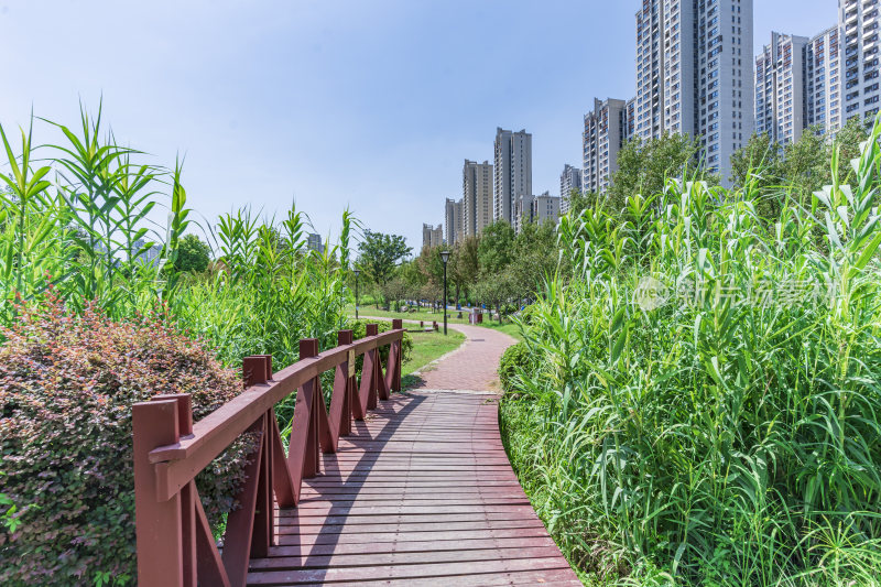 武汉洪山区杨春湖公园风景