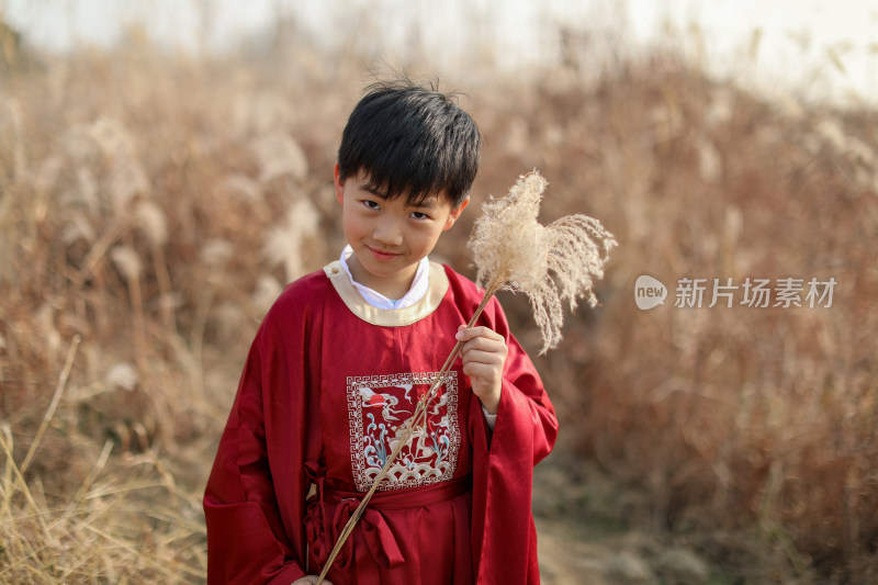 可爱的男孩站在草地上拿着芦苇