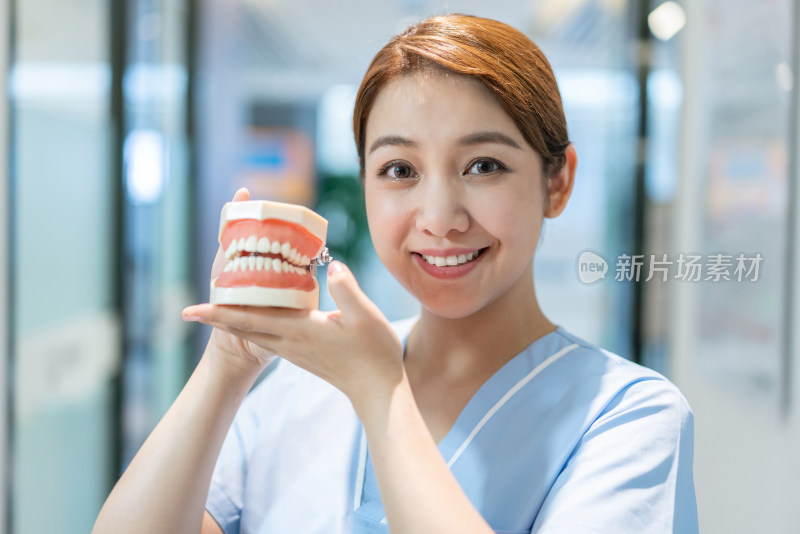 护士在牙科诊所展示牙齿模型