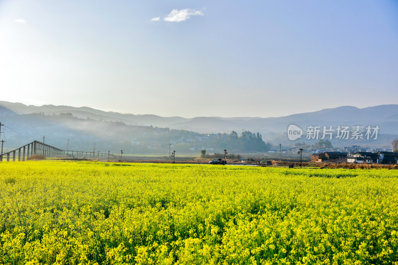 田野油菜花与远山景观