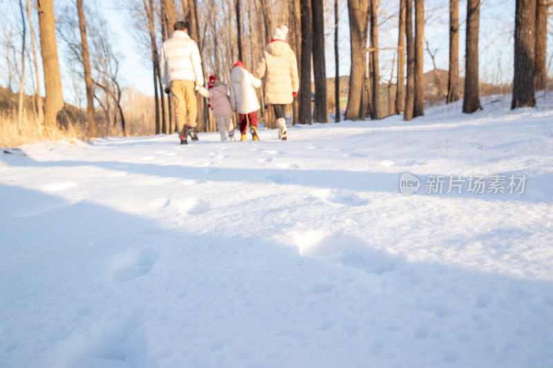 快乐家庭在雪地里散步