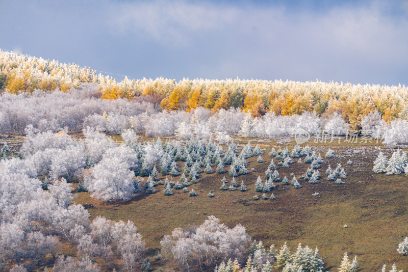 多彩山林景观，霜雪与秋景相映成趣