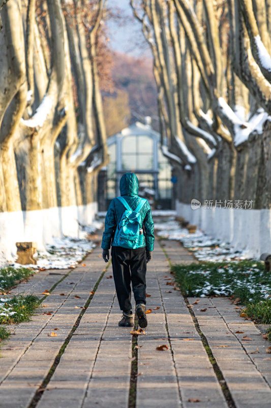 南京明孝陵石象路神道雪景