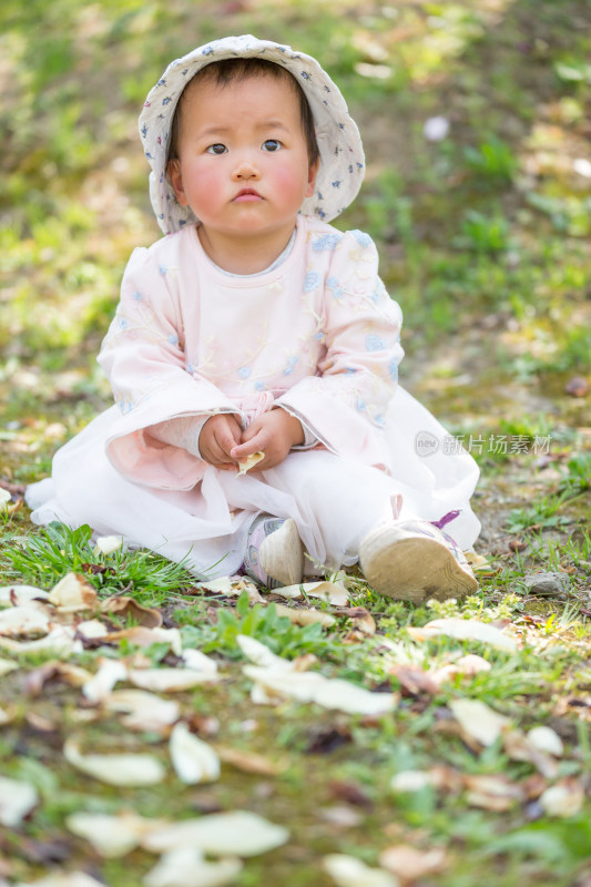 春天开满鲜花 花瓣满地 户外赏花幼儿宝宝