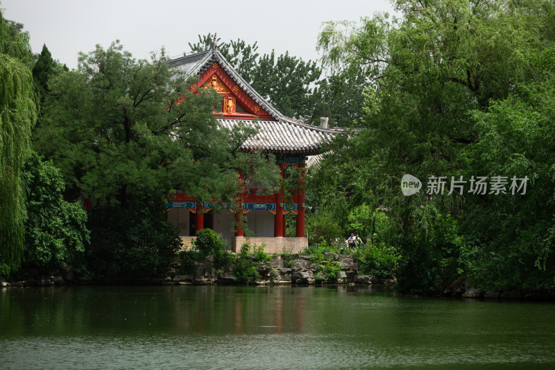 北京大学校内景色