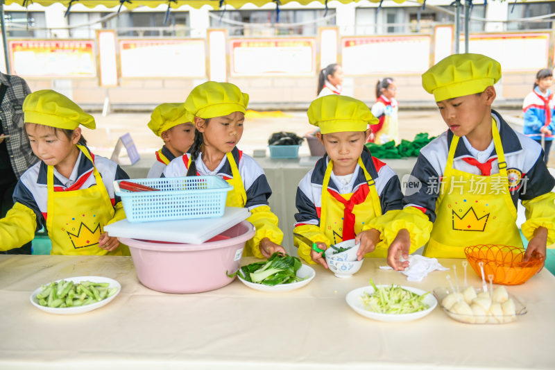 中小学生  劳动教育课程   劳动技能