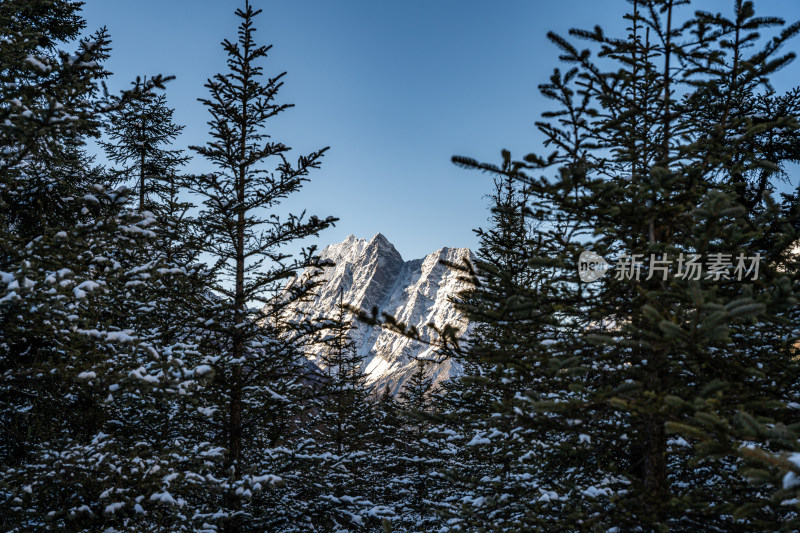 冬天的四姑娘山风景