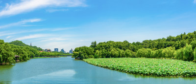 浙江杭州西湖夏天风光