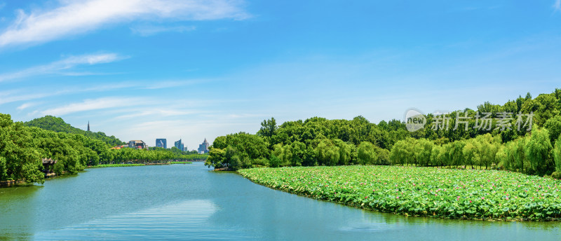 浙江杭州西湖夏天风光