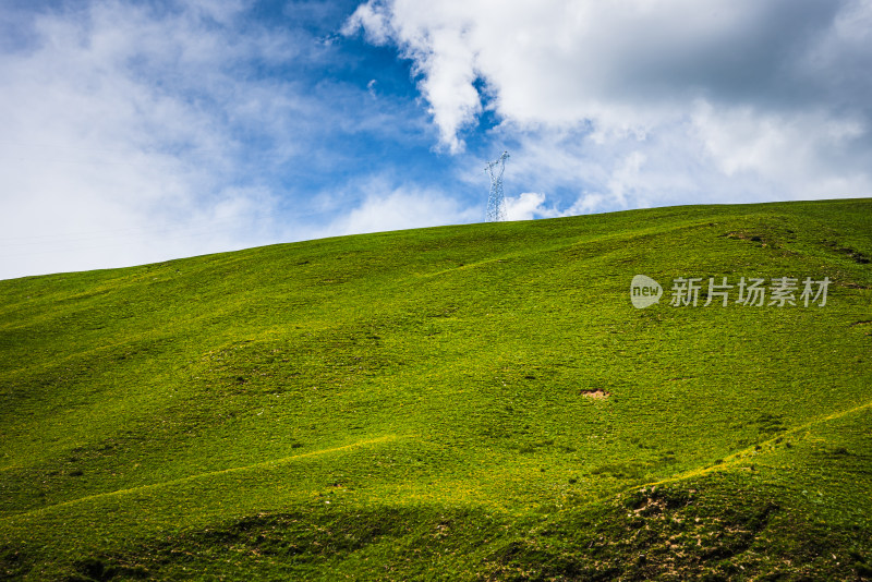 青翠山峦下的广阔草原