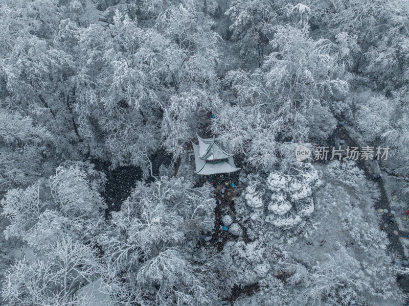 爱晚亭雪景