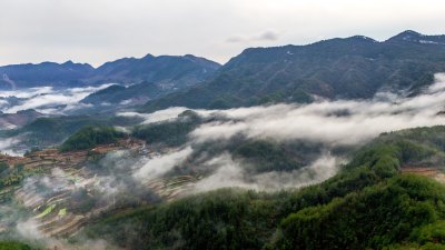 重庆酉阳：雾气中的山村田园