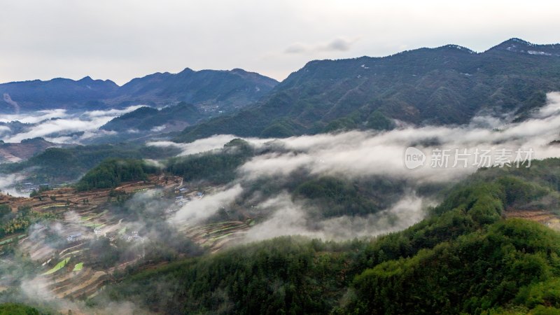 重庆酉阳：雾气中的山村田园