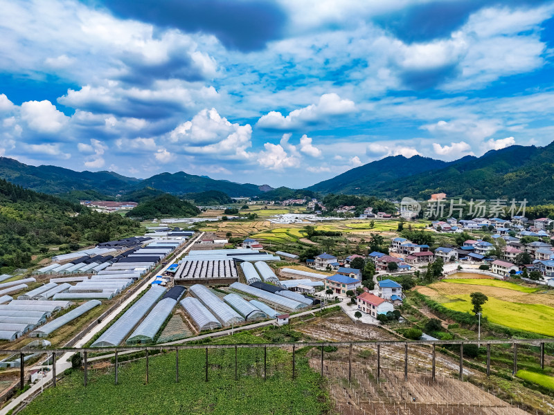 秋收农田航拍图