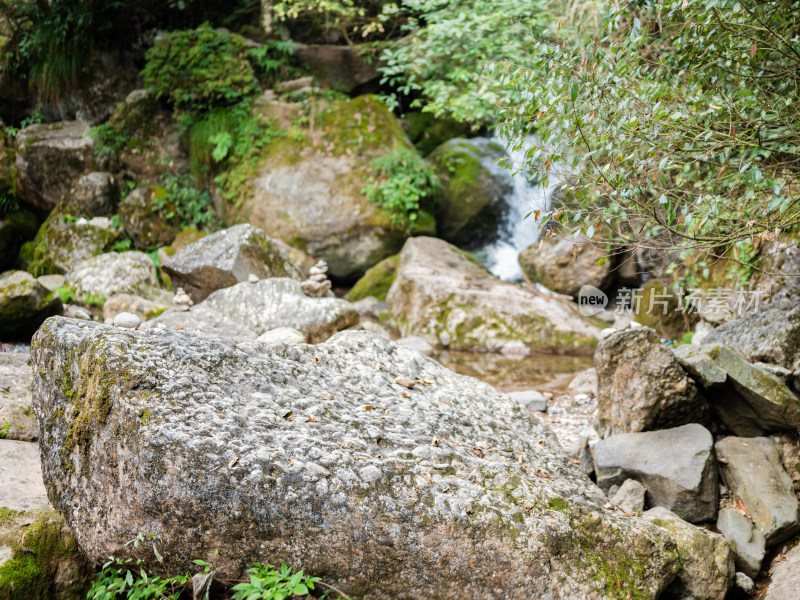 成都都江堰市青城山后山风景