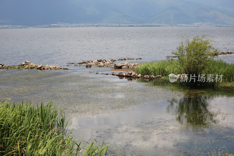 中国云南大理洱海海岸线