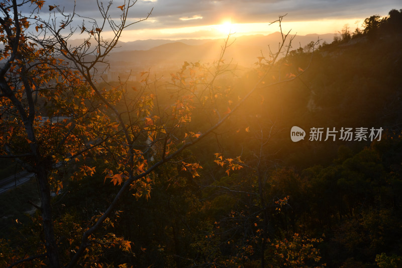 夕阳日落