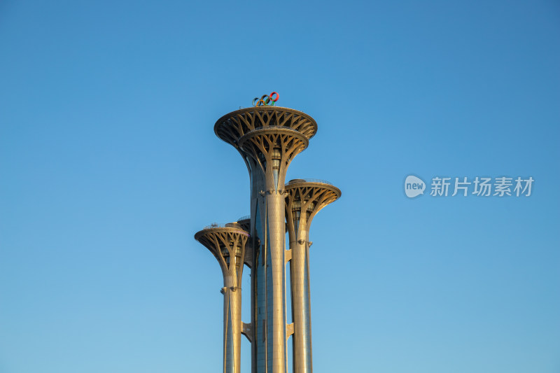 北京奥林匹克塔生命之树