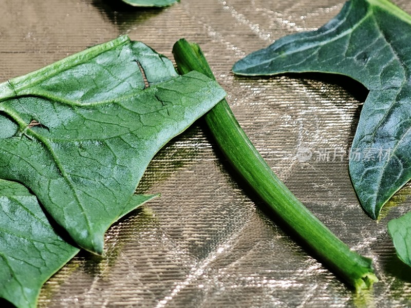 金属台面上的绿叶蔬菜特写