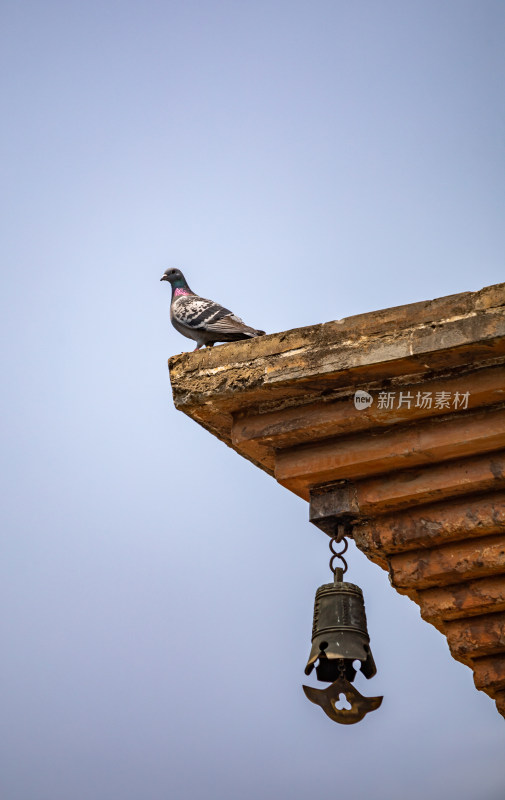 洛阳白马寺齐云塔院佛教文化景点景观