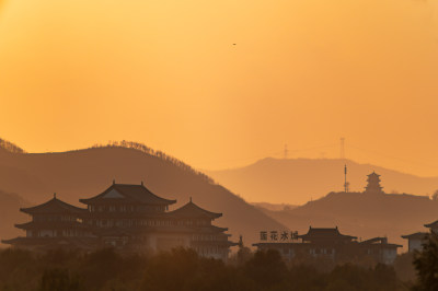 洛阳洛河边湿地里空中飞翔的鱼鹰（鸬鹚）