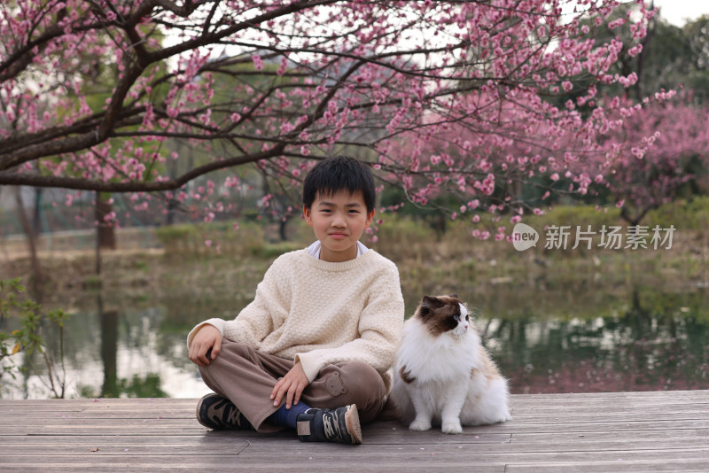 小男孩与宠物猫在梅花树下互动的温馨场景