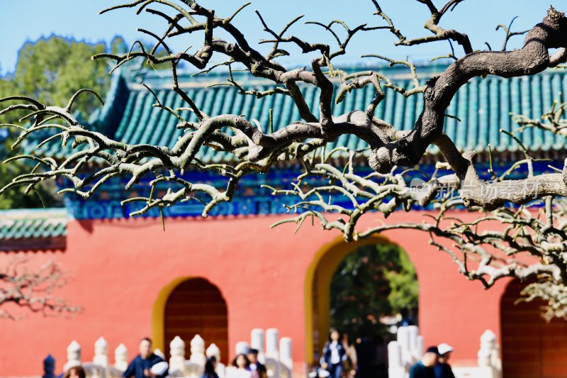 春日中的北京天坛公园斋宫风景优美