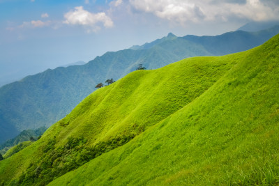 江西武功山高山草甸