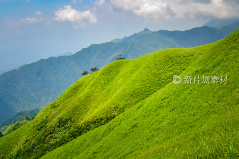 江西武功山高山草甸