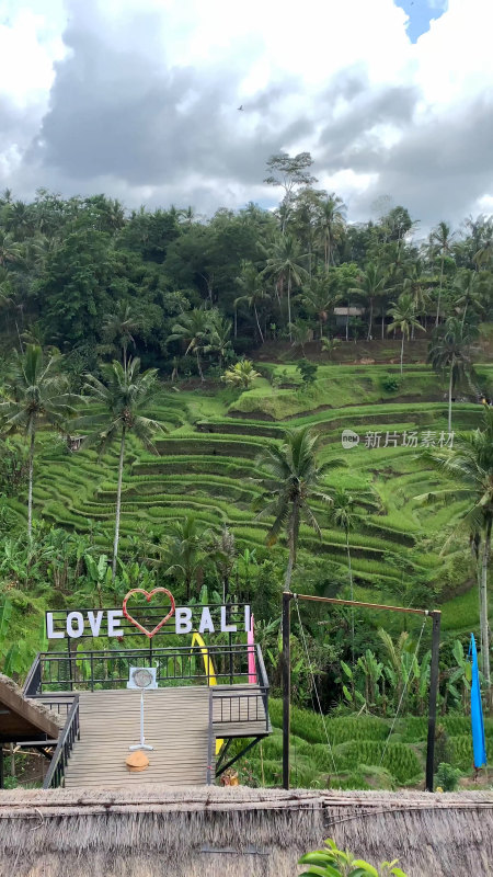 印尼巴厘岛德格拉朗梯田