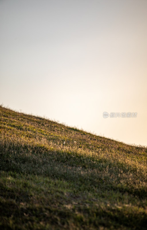 黄昏落日时青岛小麦岛公园自然风景城市景观