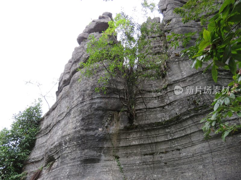 湖北恩施梭布垭石林旅游风景