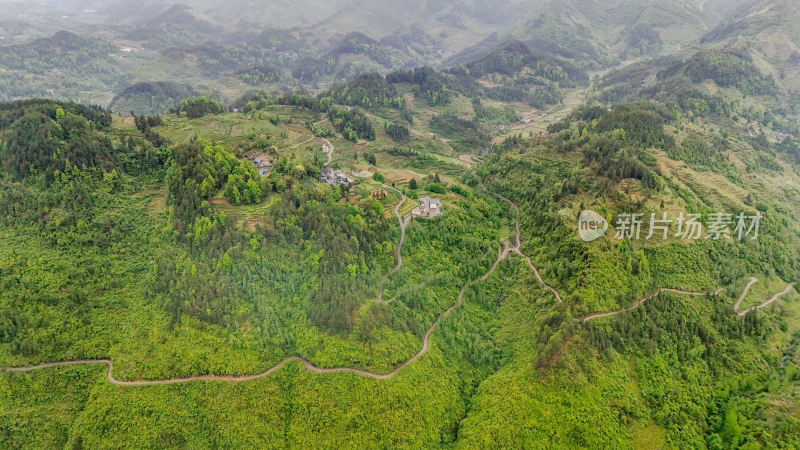 重庆酉阳：晨雾细雨美青山