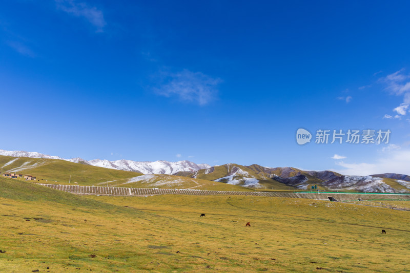 青藏高原青海祁连山脉天境祁连雪山雪景