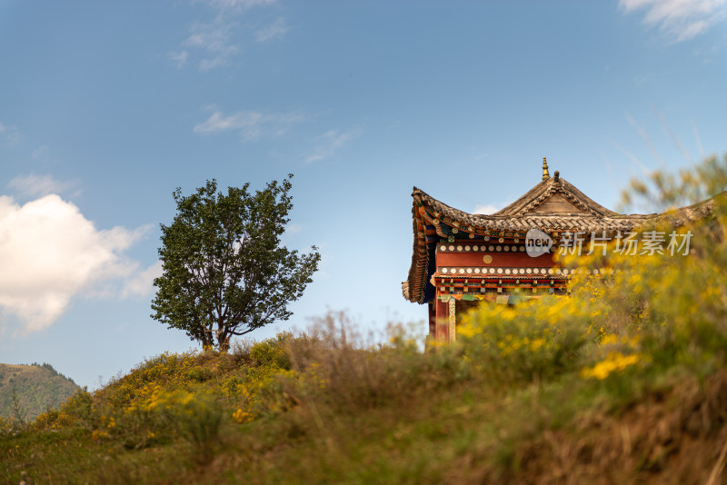 蓝天白云下的寺院