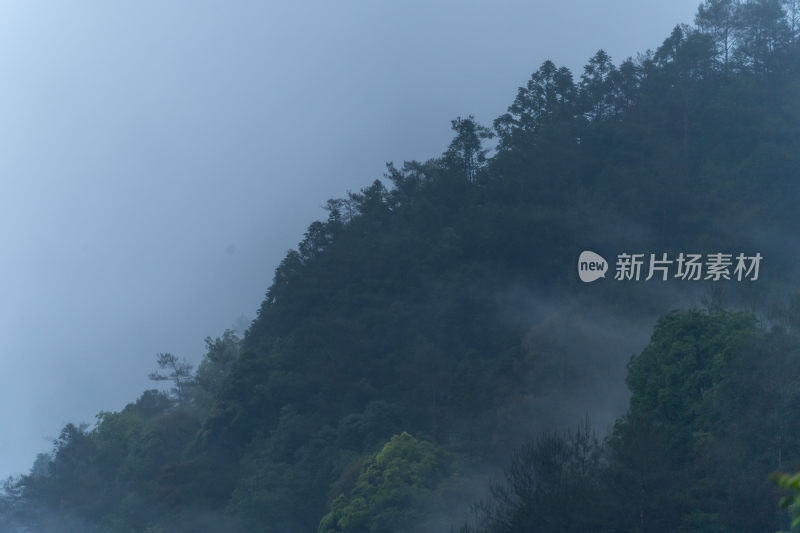 中国意境国风水墨山水云雾日出森林