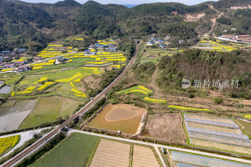 农业种植农田油菜花航拍图