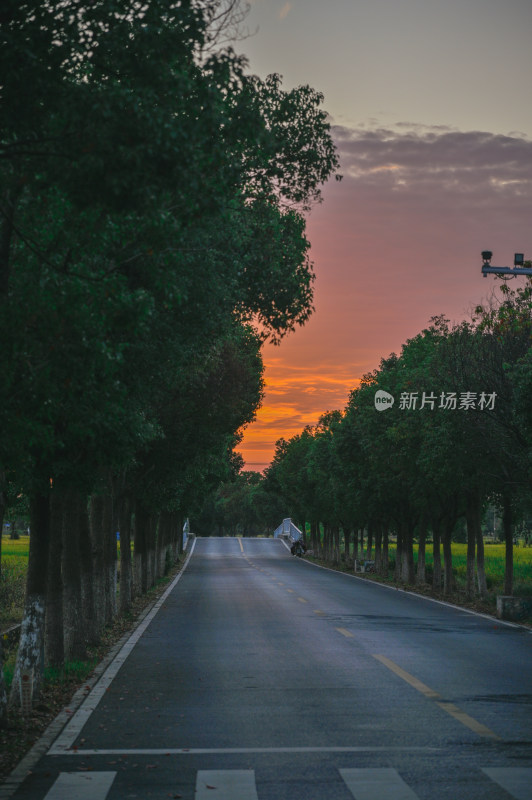 道路尽头的落日