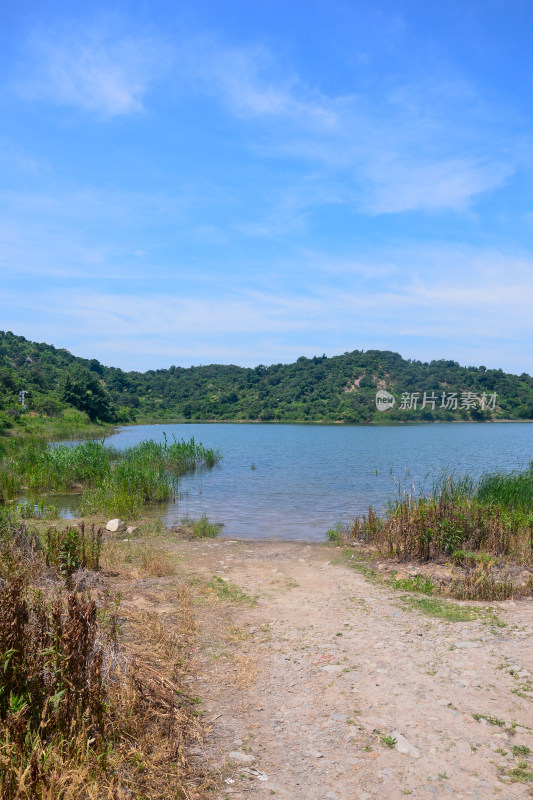 山中的风景