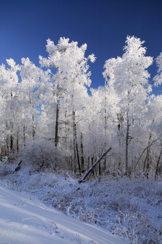 大兴安岭冬季林海雪原冰雪风光