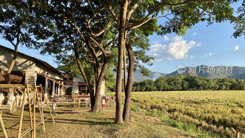 乡村田野边的休闲小屋