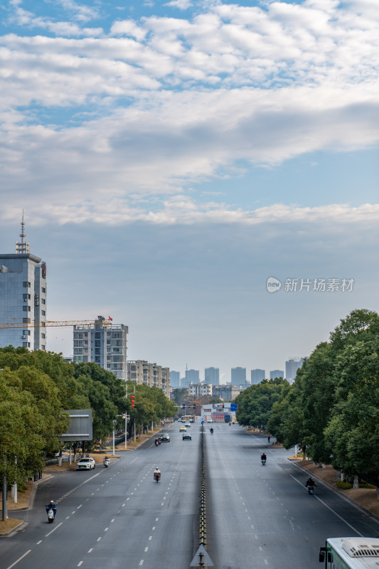 城市宽阔道路及两旁绿树建筑的景象