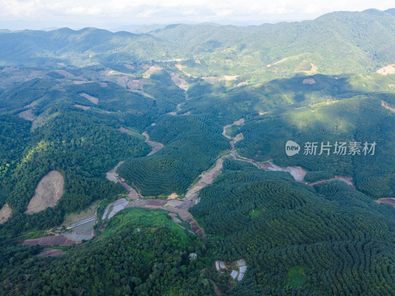 航拍视角下的大片绿色山林山脉全景