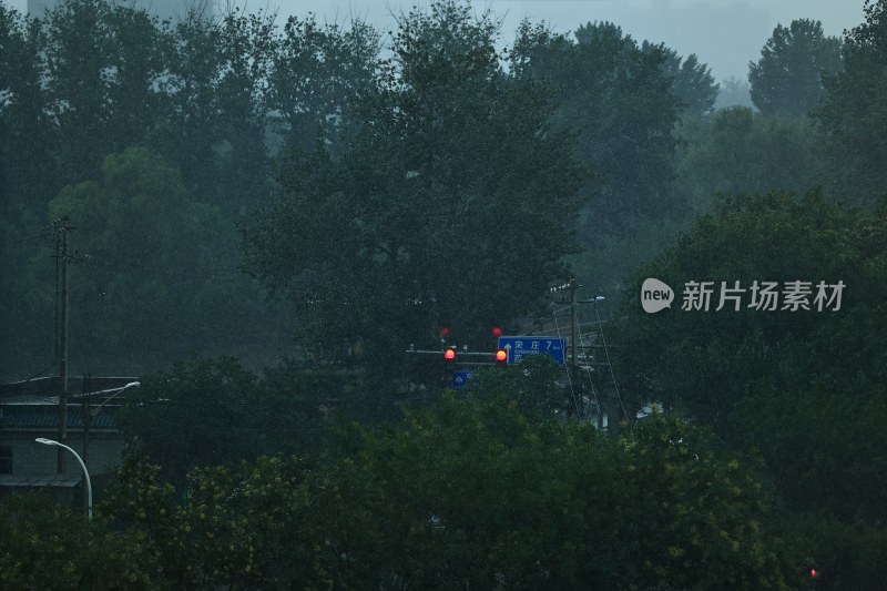 雨 天气 下雨 雨滴 下雨天 自然 自然风光