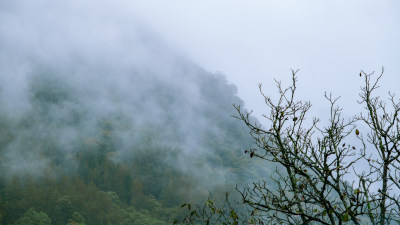 汉中留坝火烧店镇秦岭深处雨后山间的云雾