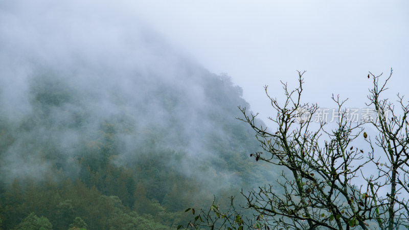 汉中留坝火烧店镇秦岭深处雨后山间的云雾