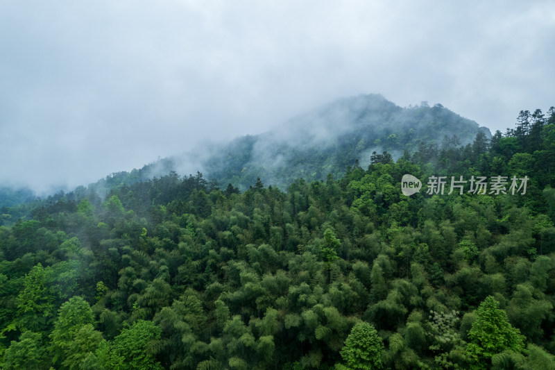 山林云雾缭绕自然景观