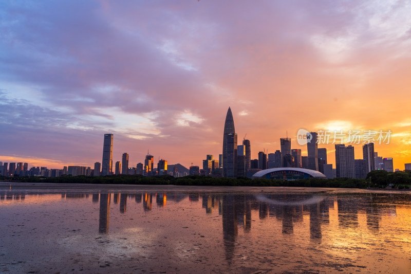 深圳湾城市天际线黄昏美景