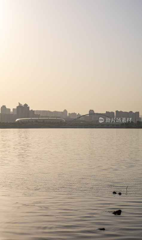 河南三门峡陕州公园天鹅湖景点景观